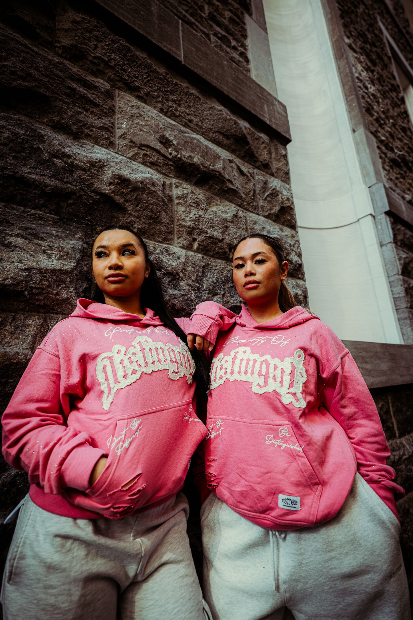 Sweat à capuche Pink Diamond